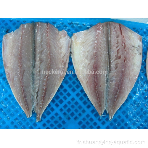 Rabats de poisson maquerel congelé IQF chinois